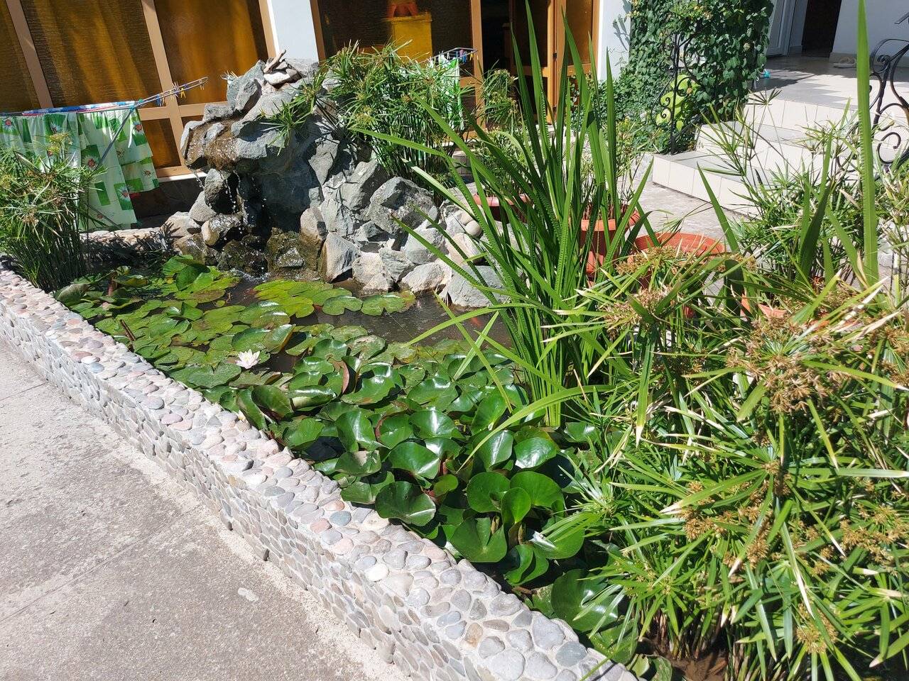 Фото Гостиницы Парадиз Николаевка 60