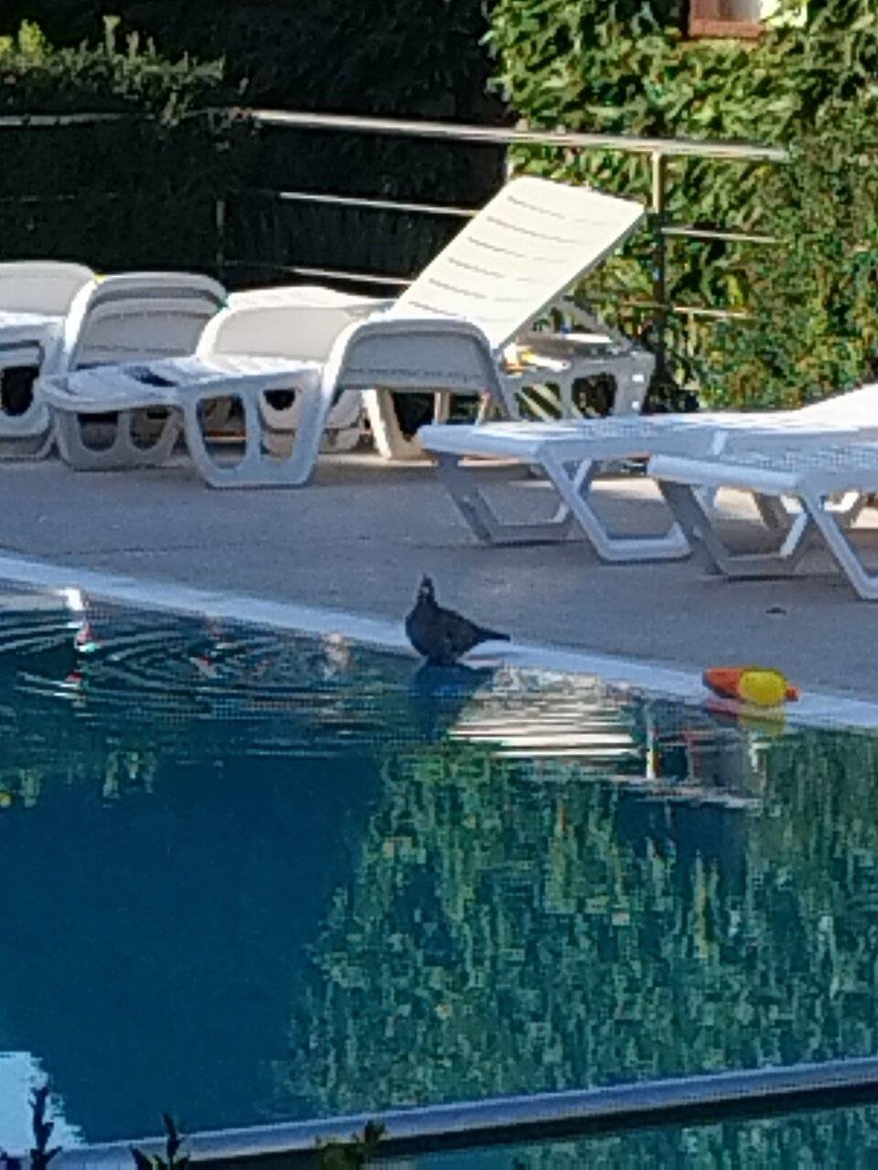 Фото Гостиницы Парадиз Николаевка 173