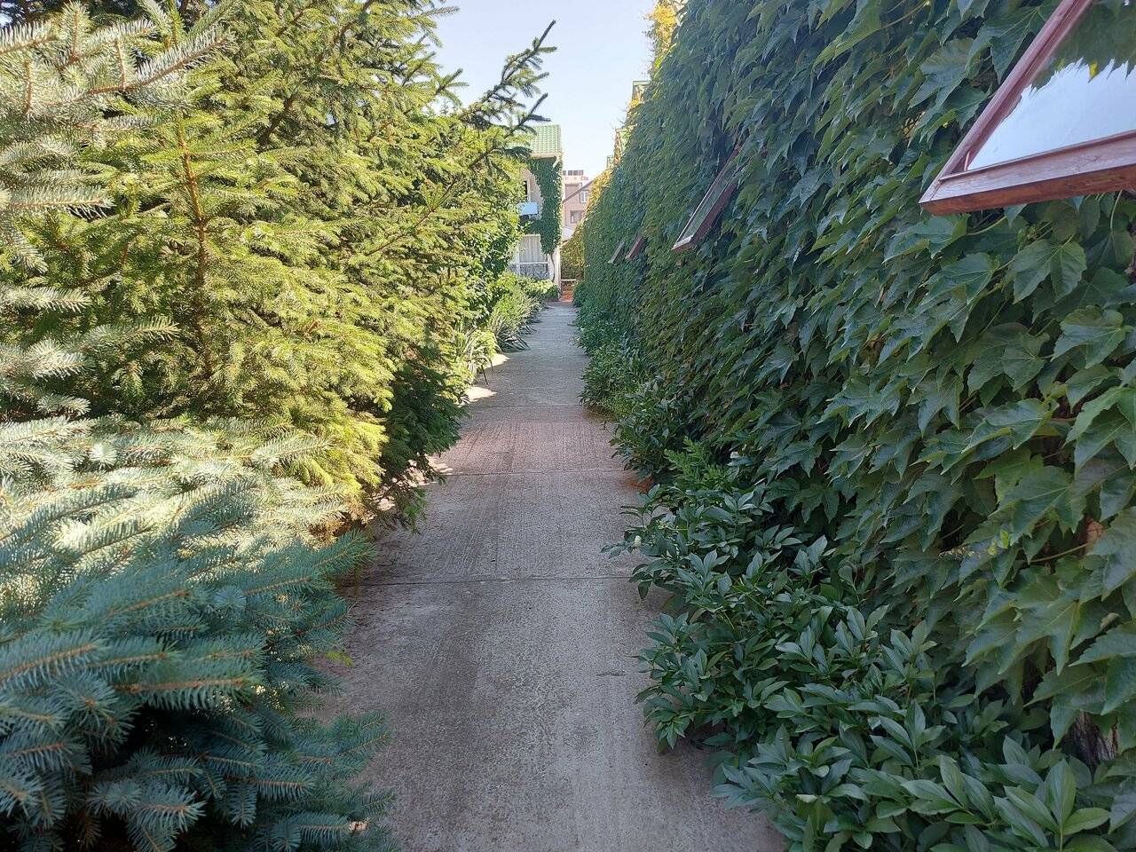 Фото Гостиницы Парадиз Николаевка 88